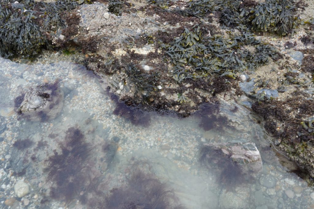 Charlestown sea shore, St Austell