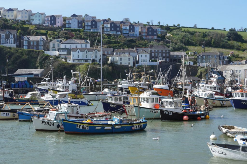 Mevagissey, Inner Harbour